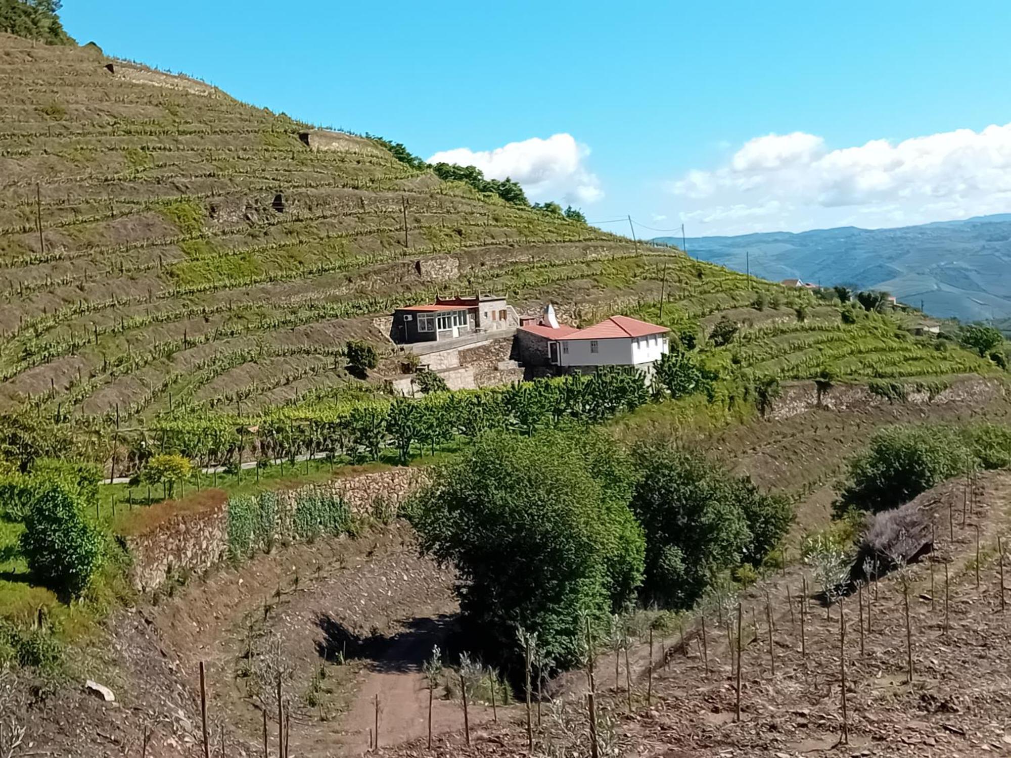 הוילה למאגו Casa Da Quinta Do Porto מראה חיצוני תמונה