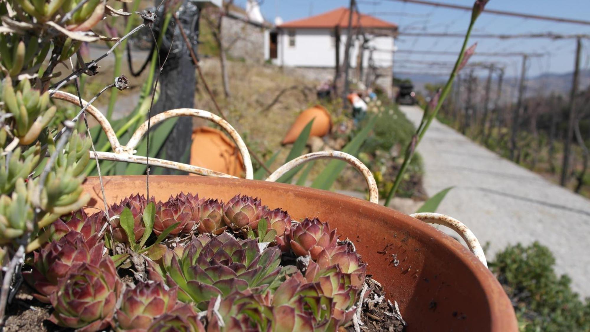 הוילה למאגו Casa Da Quinta Do Porto מראה חיצוני תמונה