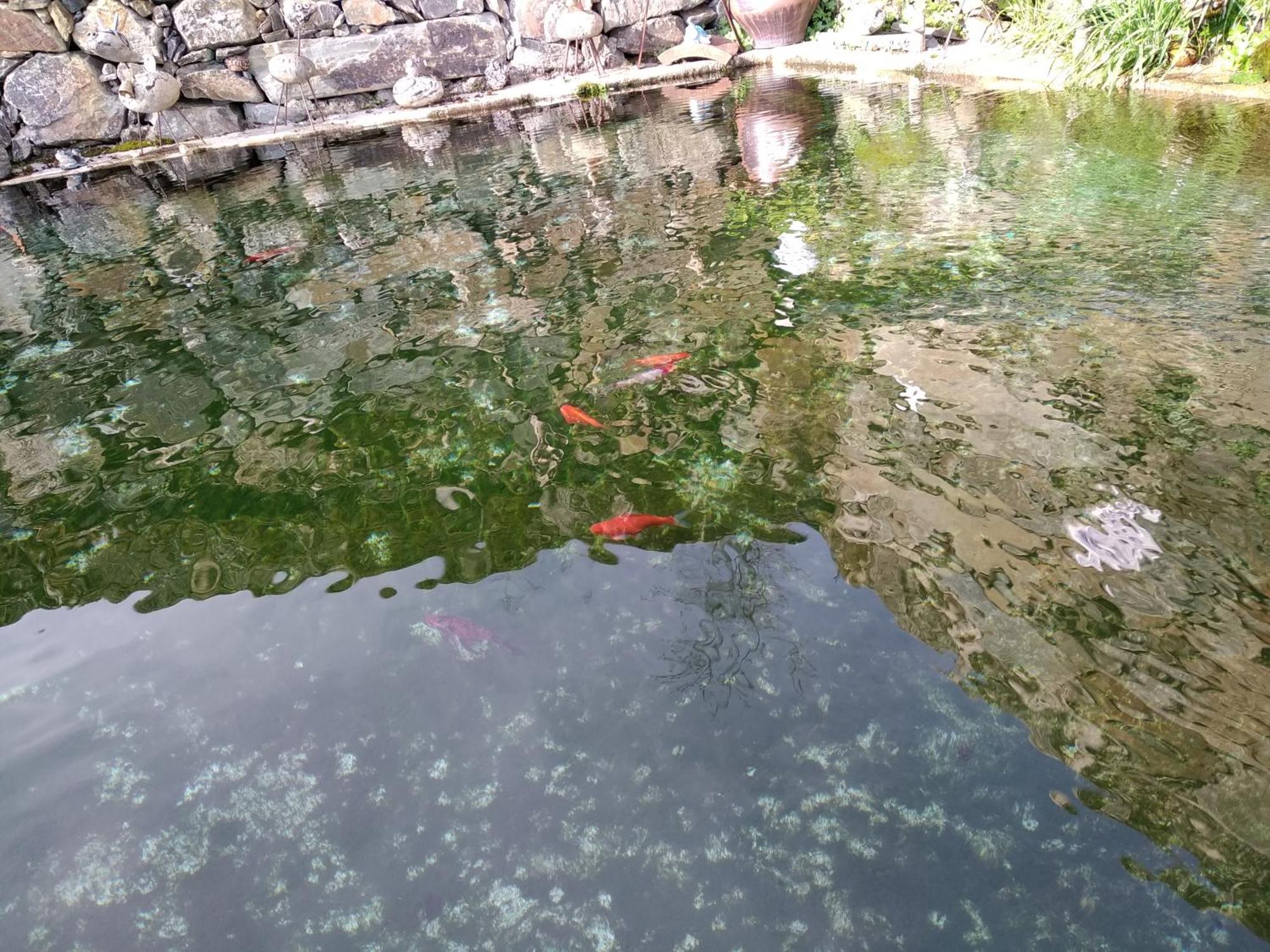 הוילה למאגו Casa Da Quinta Do Porto מראה חיצוני תמונה