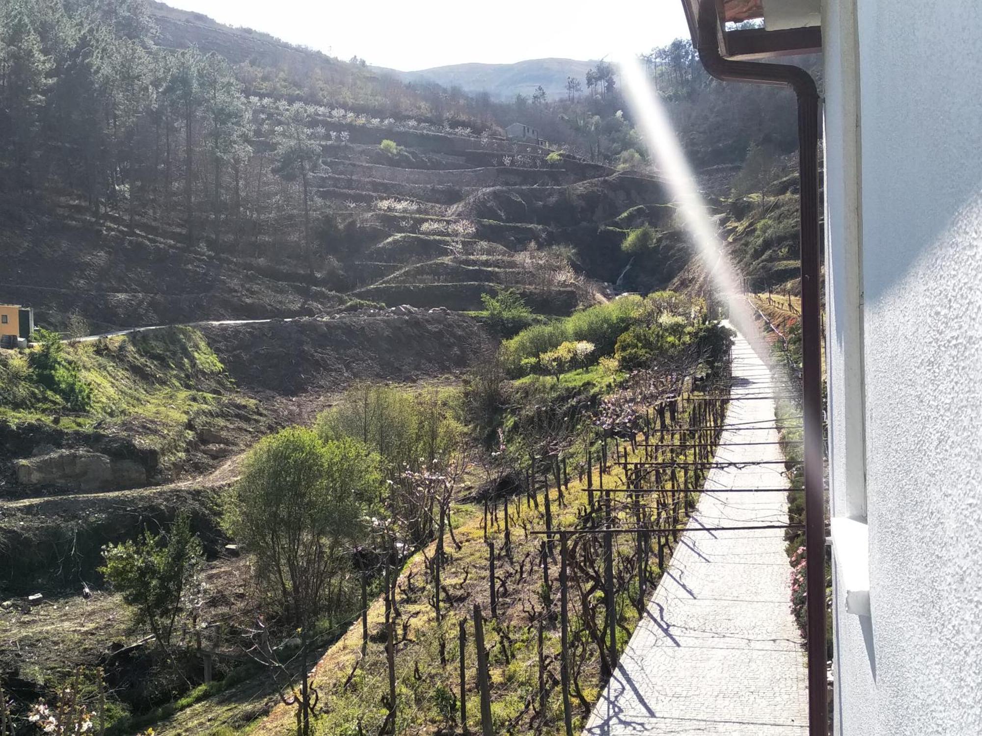 הוילה למאגו Casa Da Quinta Do Porto מראה חיצוני תמונה