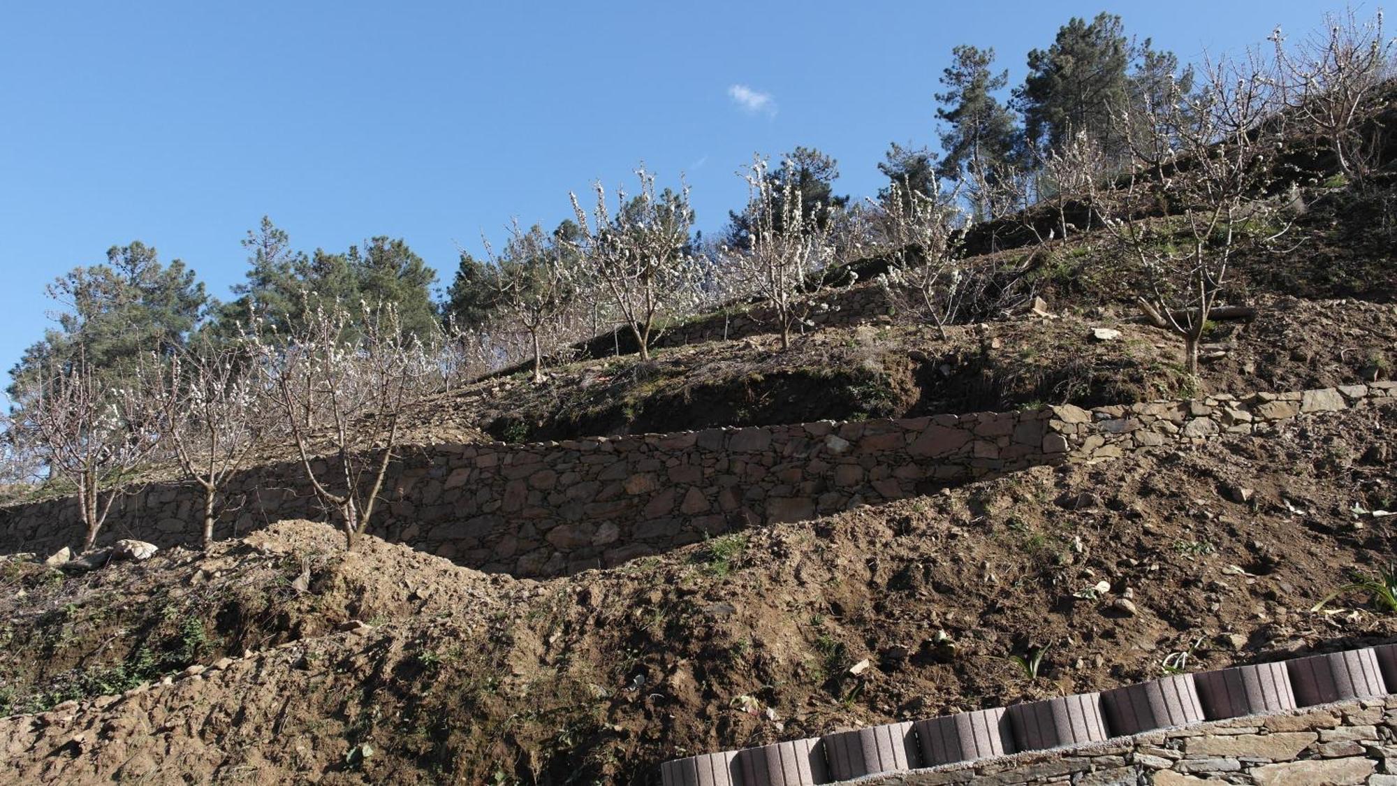 הוילה למאגו Casa Da Quinta Do Porto מראה חיצוני תמונה