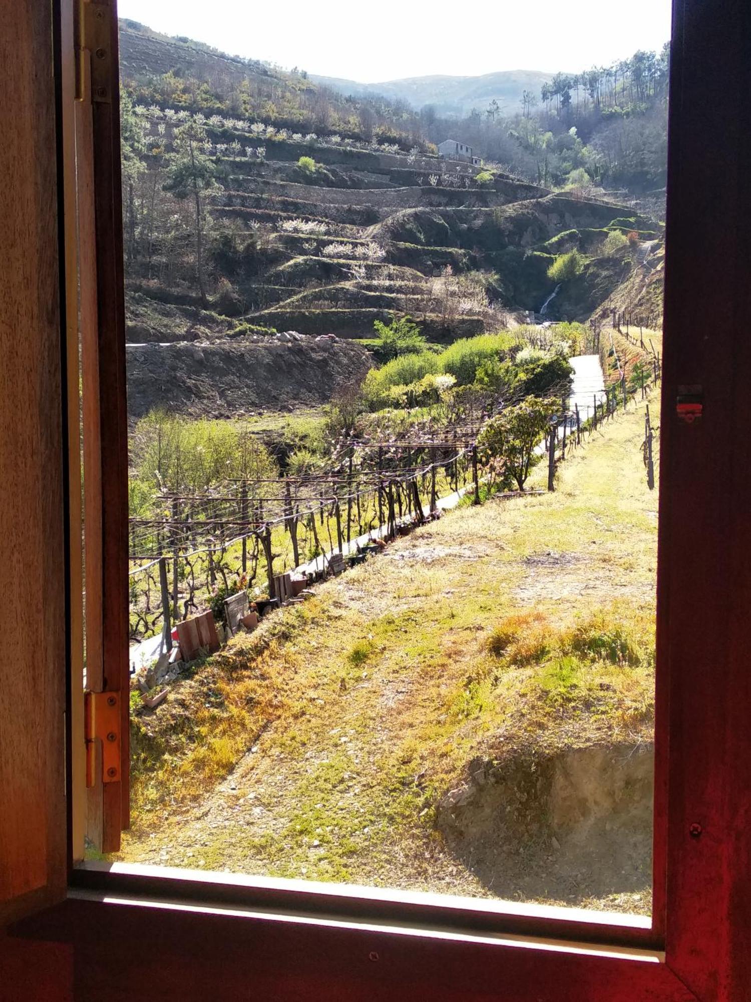 הוילה למאגו Casa Da Quinta Do Porto מראה חיצוני תמונה