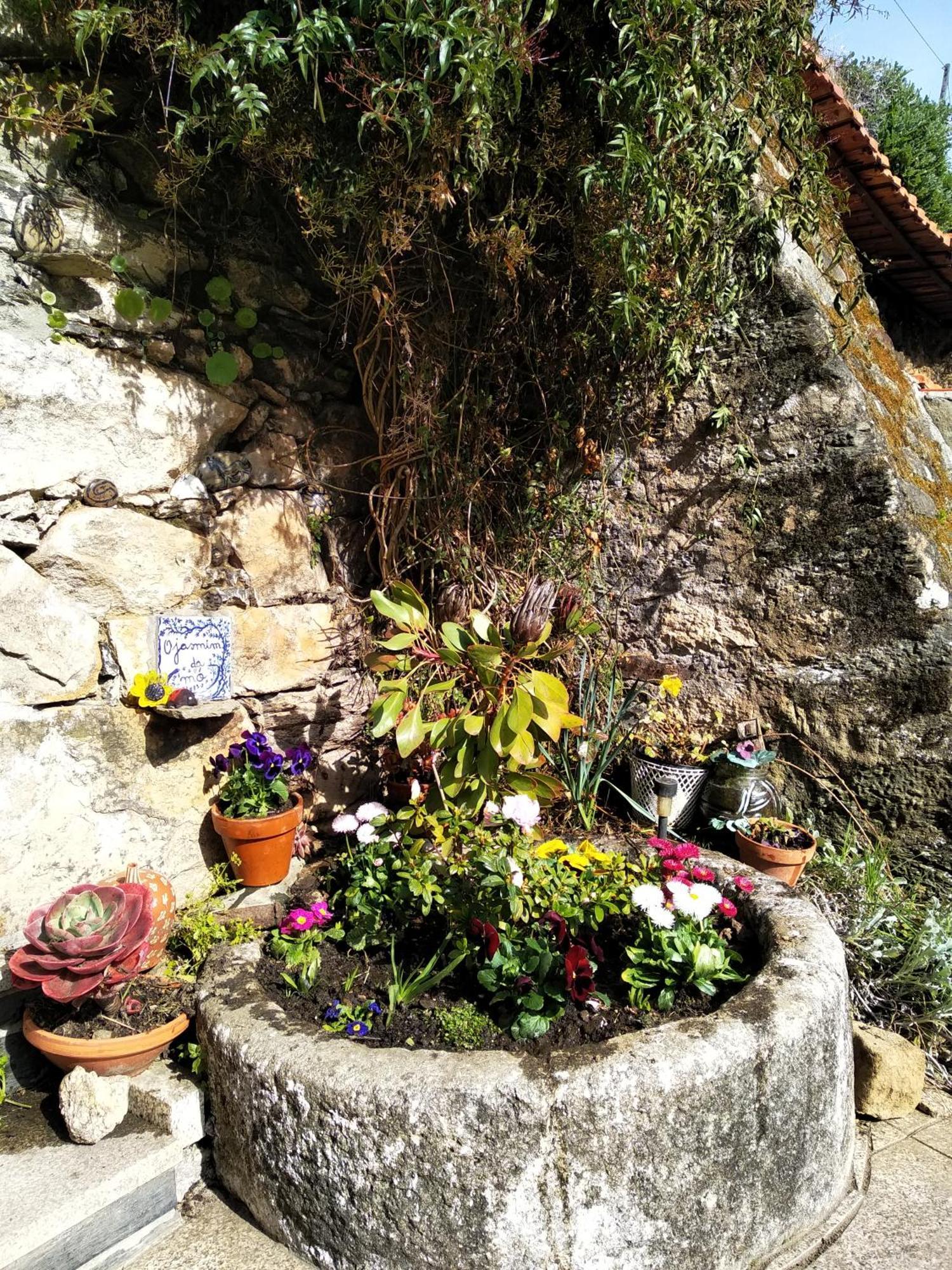הוילה למאגו Casa Da Quinta Do Porto מראה חיצוני תמונה