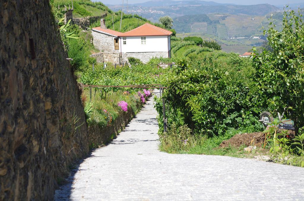 הוילה למאגו Casa Da Quinta Do Porto מראה חיצוני תמונה