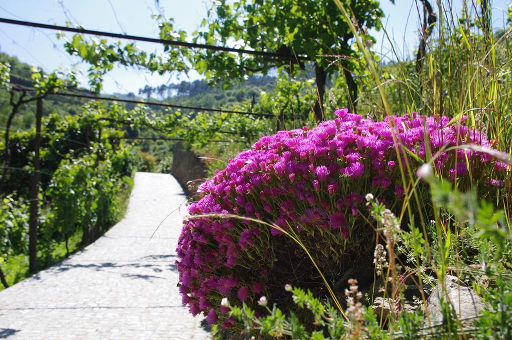 הוילה למאגו Casa Da Quinta Do Porto מראה חיצוני תמונה